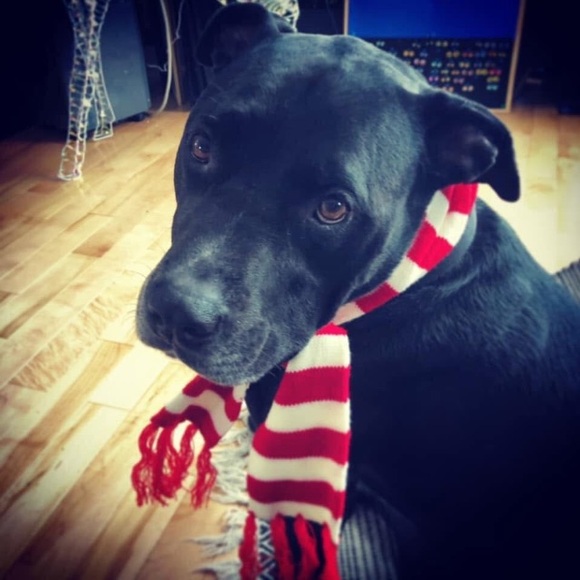 Happy holiday 💞 - Picture 2 of 6